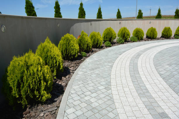 Orland Hills, IL Driveway Pavers Company